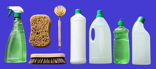 Eco-Friendly Cleaning Companies